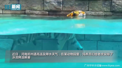 某动物园泳池